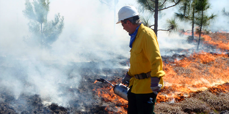 Technician performing controlled burn