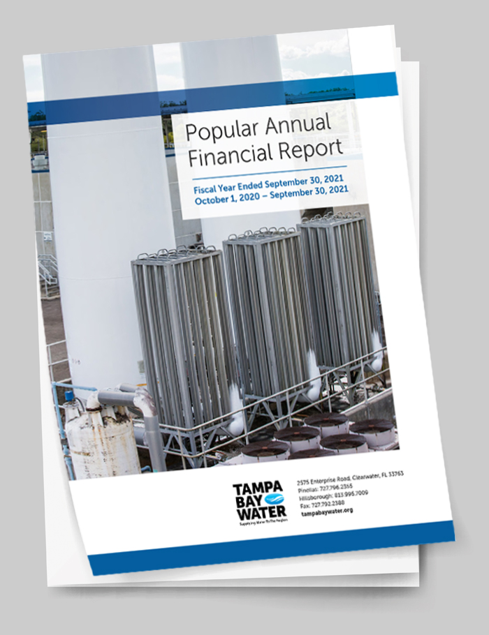 Popular Annual Financial Report 2021 cover