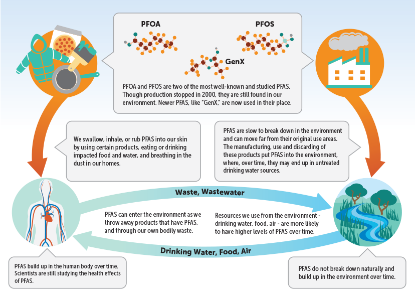 Per- and Polyfluoroalkyl Substances (PFAS) - Tampa Bay Water