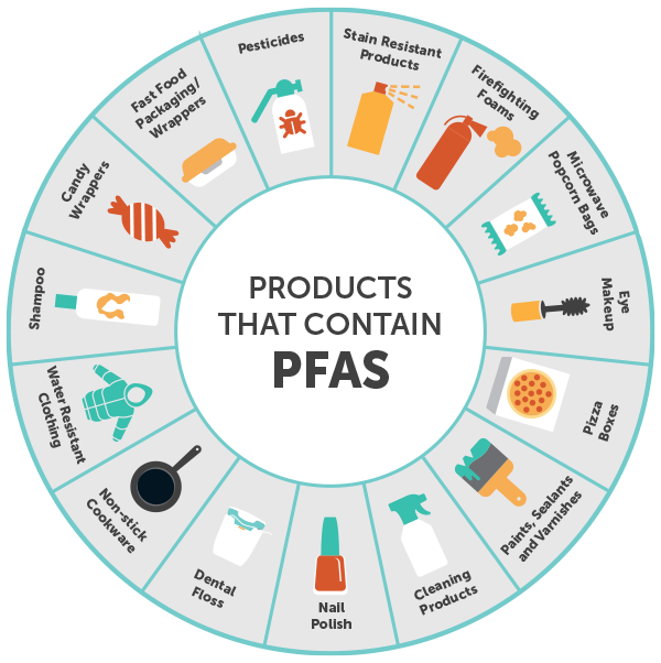 Per and Polyfluoroalkyl Substances (PFAS) Tampa Bay Water