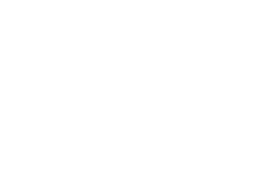 Pinellas County Florida logo