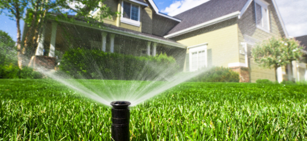 Outdoor watering