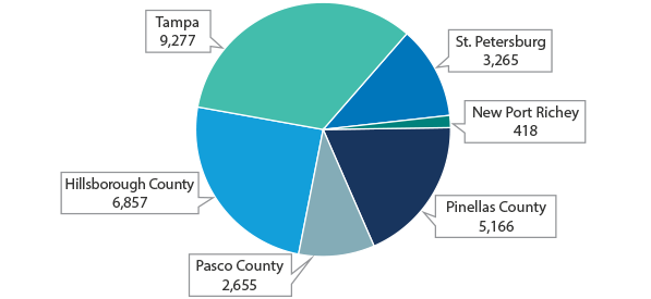 tampa-bay-water-wise-adds-customizable-rebate-tampa-bay-water