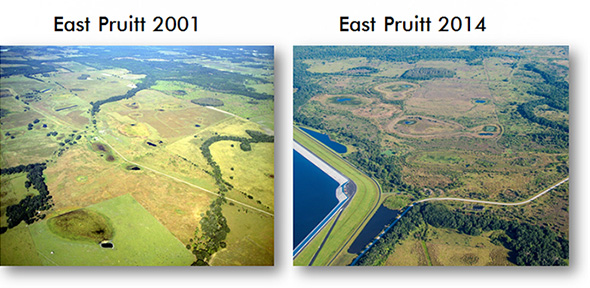 East Pruitt 2001 and 2014