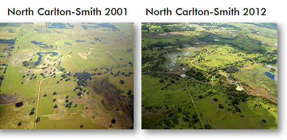 North Carlton-Smith 2001 and 2014