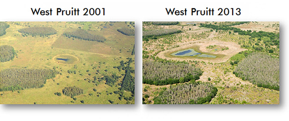 Wet Pruitt 2001 and 2013