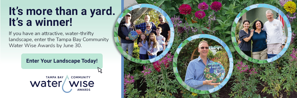 It's more than a yard. It's a winner! If you have an attractive, water-thrifty landscape, enter the Tampa Bay Community Water Wise Awards by June 30. Entery your landscape today on the Tampa Bay Community Water Wise Awards website.